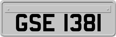 GSE1381