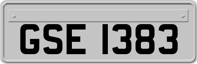 GSE1383