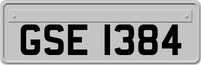 GSE1384