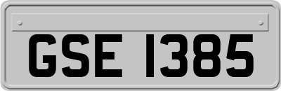 GSE1385