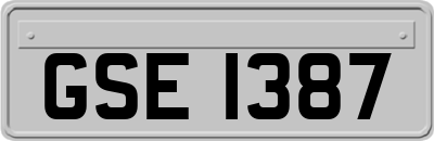 GSE1387