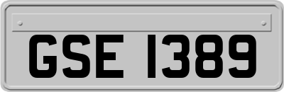 GSE1389