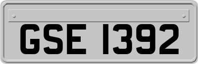 GSE1392