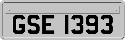 GSE1393