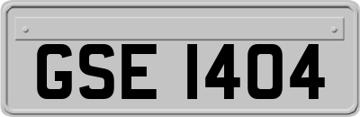 GSE1404