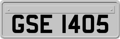 GSE1405