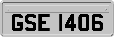 GSE1406