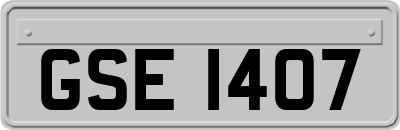 GSE1407