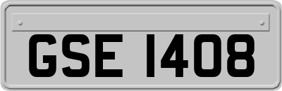 GSE1408