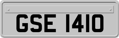 GSE1410
