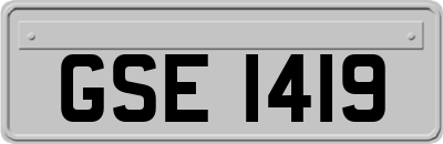GSE1419