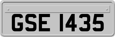 GSE1435