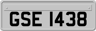 GSE1438