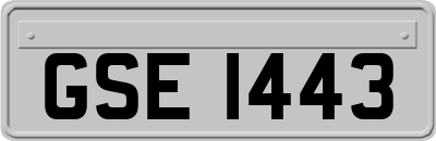 GSE1443