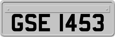 GSE1453