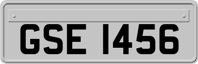 GSE1456