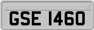 GSE1460