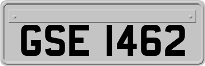 GSE1462