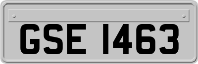 GSE1463