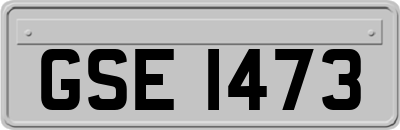 GSE1473