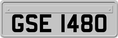 GSE1480
