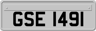 GSE1491