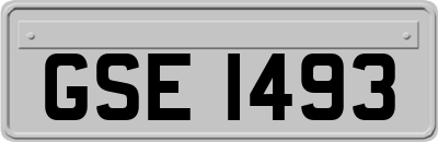 GSE1493