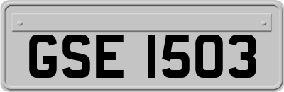 GSE1503