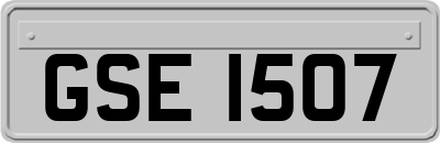 GSE1507