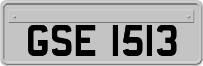GSE1513