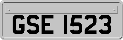GSE1523