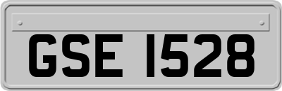 GSE1528