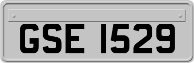 GSE1529