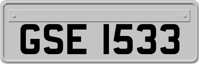 GSE1533