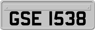 GSE1538