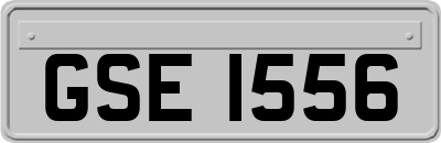 GSE1556