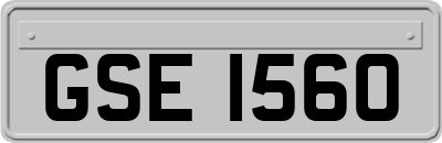 GSE1560