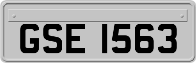 GSE1563