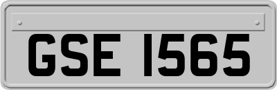 GSE1565