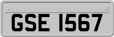 GSE1567
