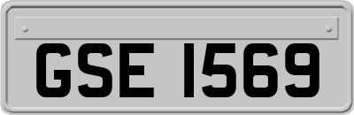 GSE1569