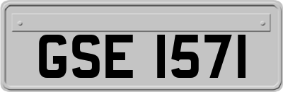 GSE1571