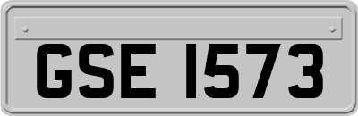 GSE1573