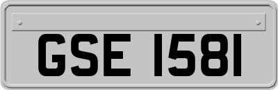 GSE1581