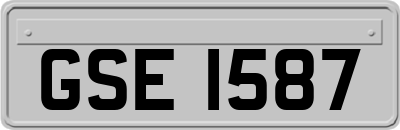 GSE1587