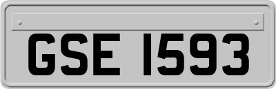 GSE1593