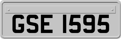 GSE1595