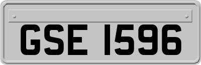 GSE1596