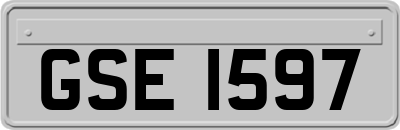 GSE1597