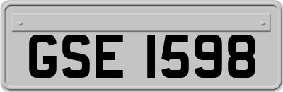 GSE1598